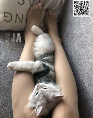 潘金莲就是我