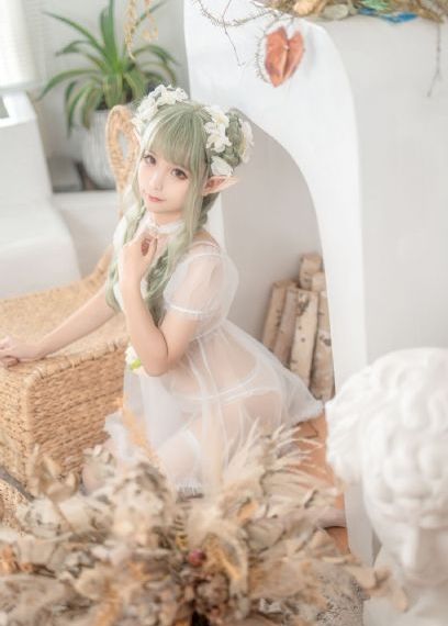 金瓶mei