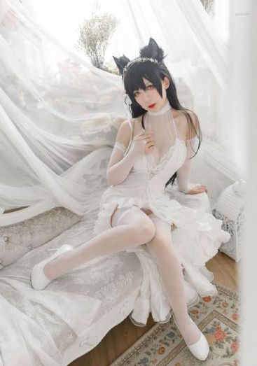 战将韩先电视剧免费观看